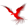JAVA Logo